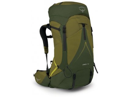 osprey atmos ag lt 65 scenic valley green peppercorn