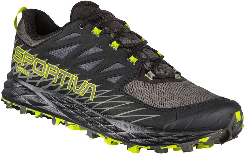 E-shop La Sportiva Lycan GTX Carbon/Apple Green