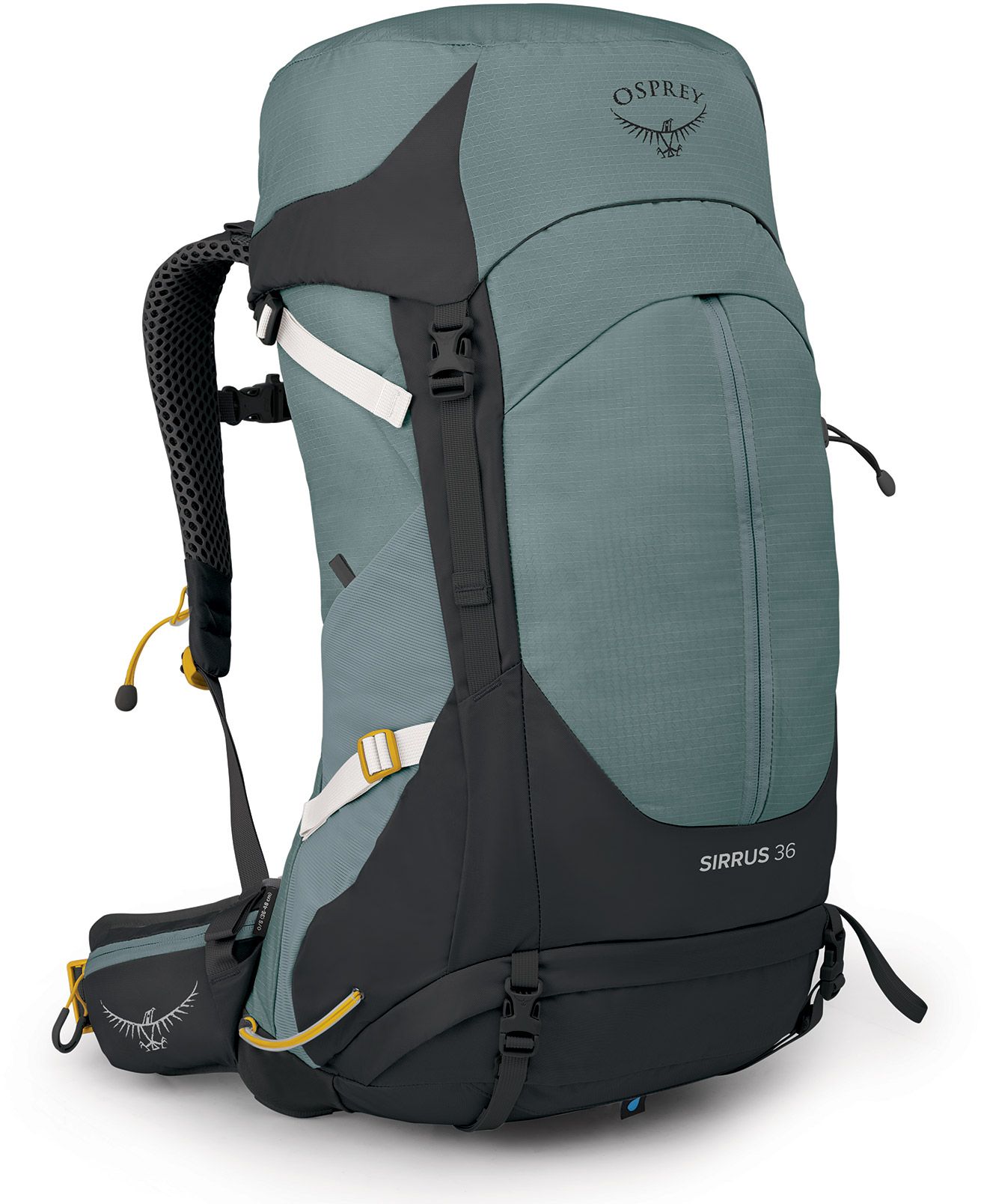 Osprey SIRRUS 36 succulent green