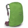 osprey sirrus 24 elderberry purple chiru tan5