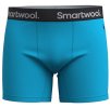 10043119SMW01 M ACTIVE BOXER BRIEF BOXED, pool bl