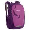Boll FALCON 20 BOYSENBERRY  batoh