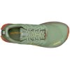 altra m lone peak 9 gtx dusty olive3