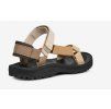 teva w s winsted nlmt4