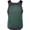 osprey daylite axo green enchantment purple 02