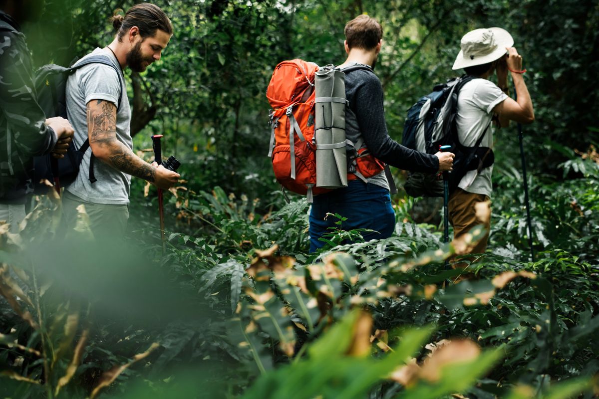 OM-hiking