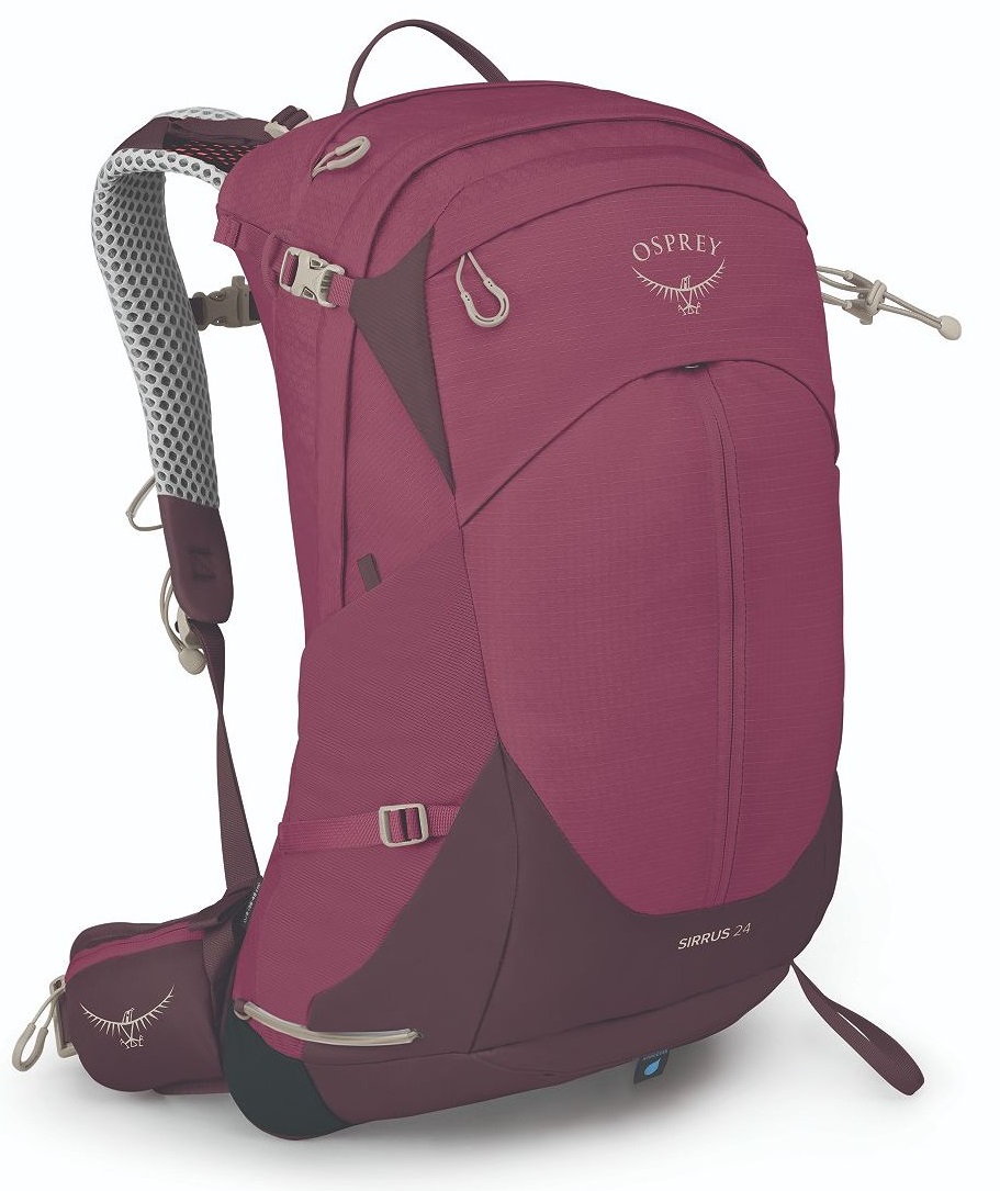 Osprey SIRRUS 24 elderberry purple/chiru tan