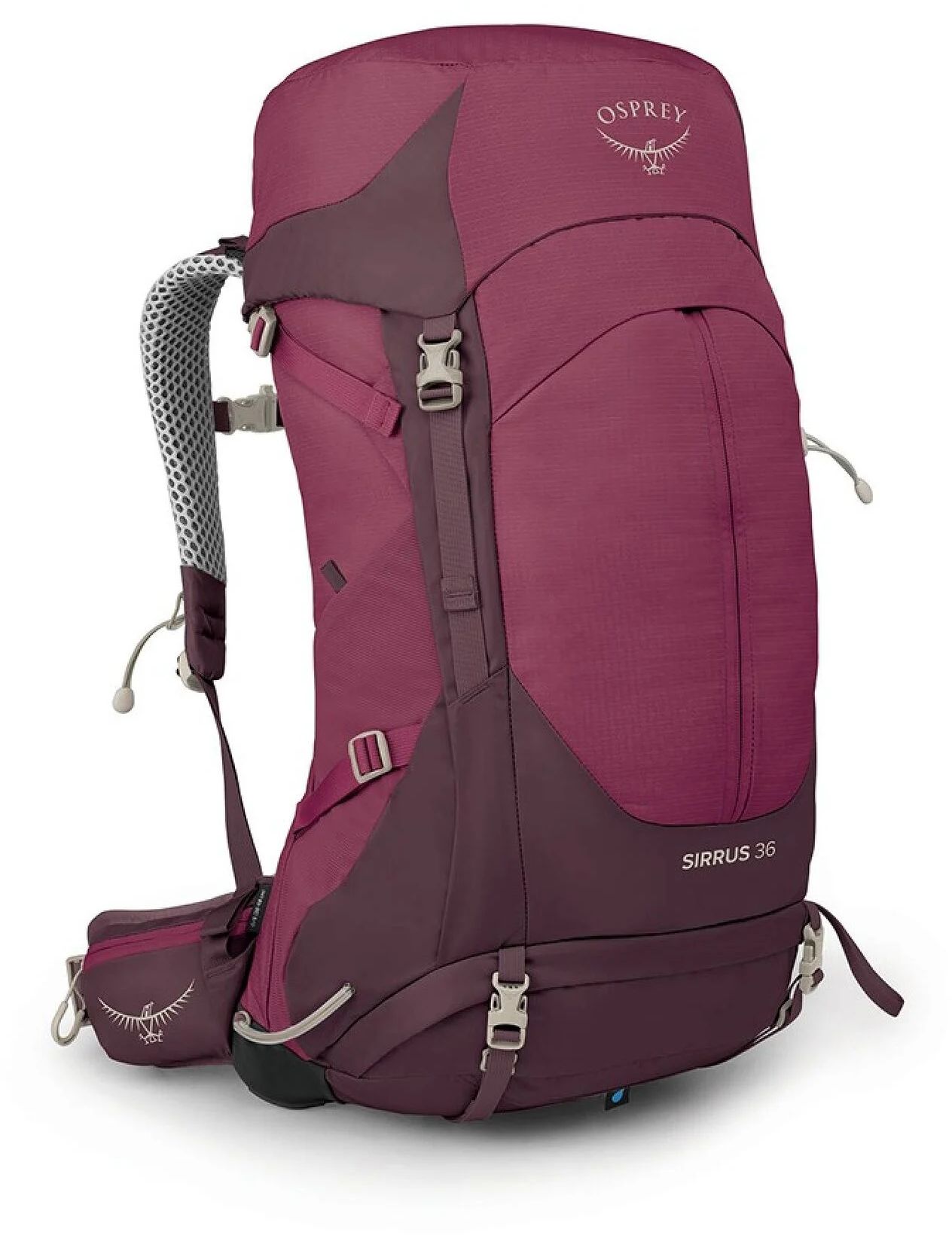 Osprey SIRRUS 36 elderberry purple/chiru tan
