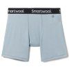 10031809SMW01 M BOXER BRIEF BOXED, lead