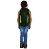 osprey jet 18 green canopy limeline green7