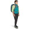 osprey hikelite 26
