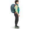 osprey hikelite 26 2