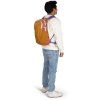 osprey daylite 3