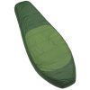 251708 12 boll stellar right eucalyptus forestgreen