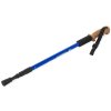 Trekingové hole Nordic Walking s ergonomickou, korkovou rukojetí, 135 cm, 2 ks (Vyber barvu : Modrá)