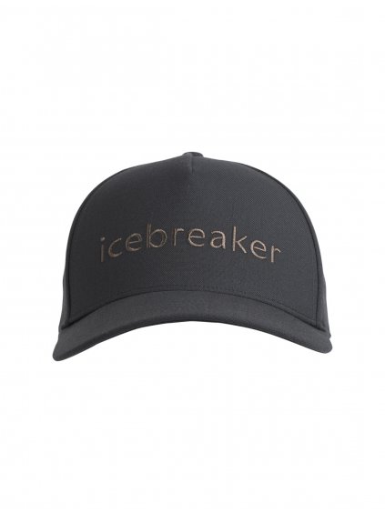 ICEBREAKER Adult Icebreaker Logo Hat, Monsoon
