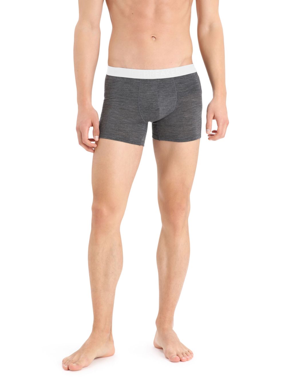 pánské merino boxerky ICEBREAKER Mens Anatomica Cool-Lite Boxers, Monsoon Heather (vzorek) velikost: M