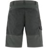 Abisko Shorts M 82833 030 B MAIN FJR 01