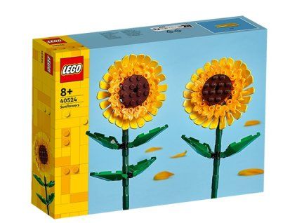 LEGO 40524 01