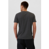 Pánské tričko GAP 1200135180252