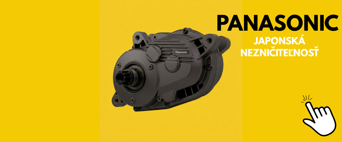 PANASONIC MOTOR