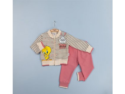 ae2bb2e3f0b4a42bf4321a1cba0a69ed