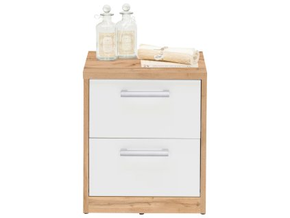 stažený soubor (1)