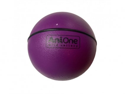 204383 anione actionball hracka pro kocky fialova