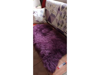 480900622 4210684672497620 2681111079722518379 n