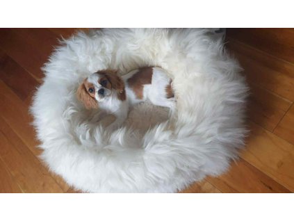 b15d87b8 d0dc 456e 8ca4 2d205c07d815