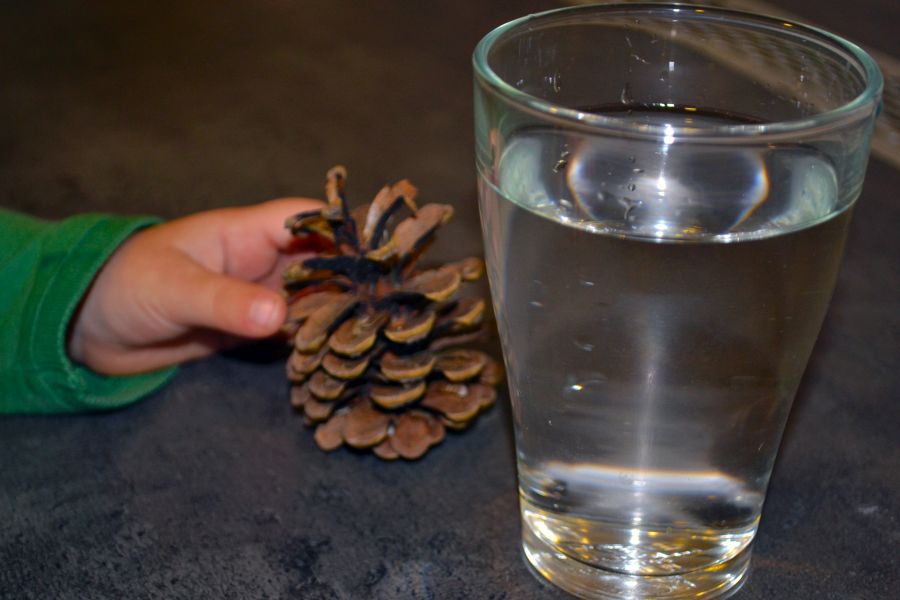 Pokus: Šiška vo vode