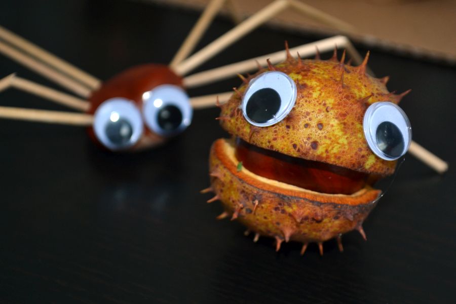 Gaštankovia I. - zvieratka z gaštanov