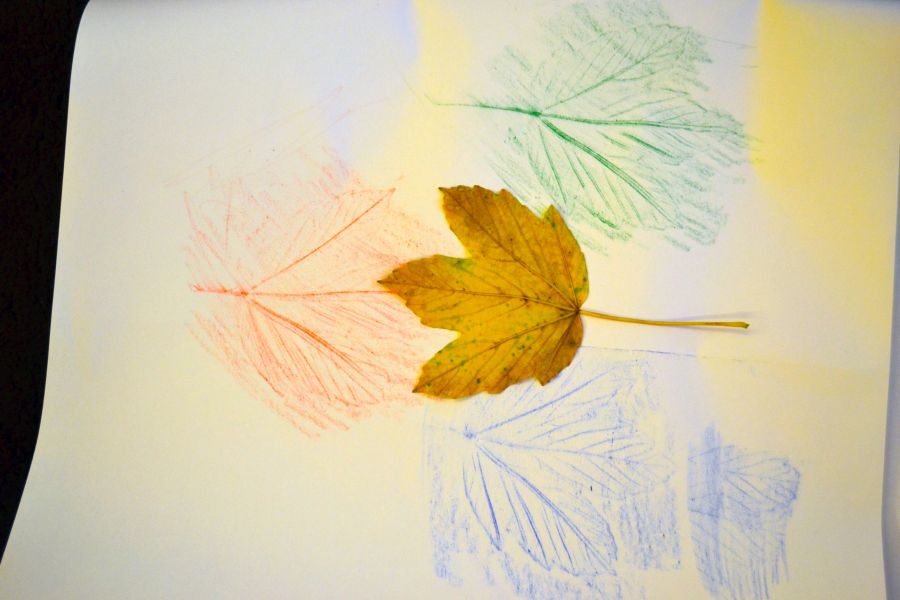 Obkresľovanie listov