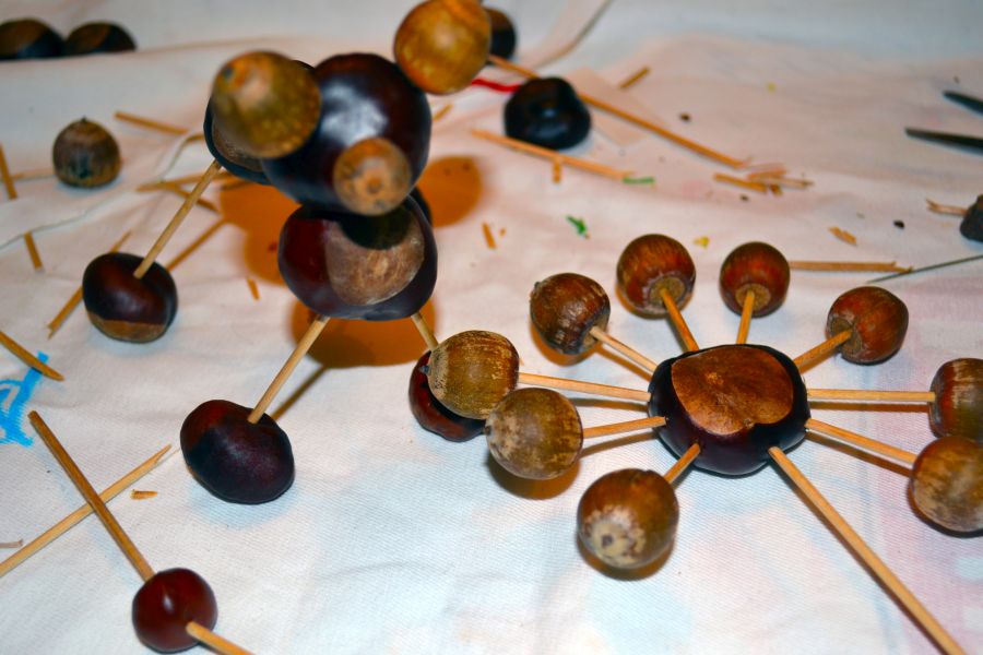 Gaštankovia II. - zvieratka z gaštanov