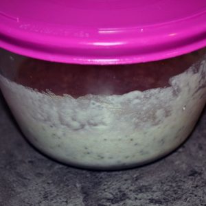 chia-puding-3