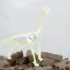 80004111 maly paleontolog objav brachiosaura 06