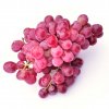 vino