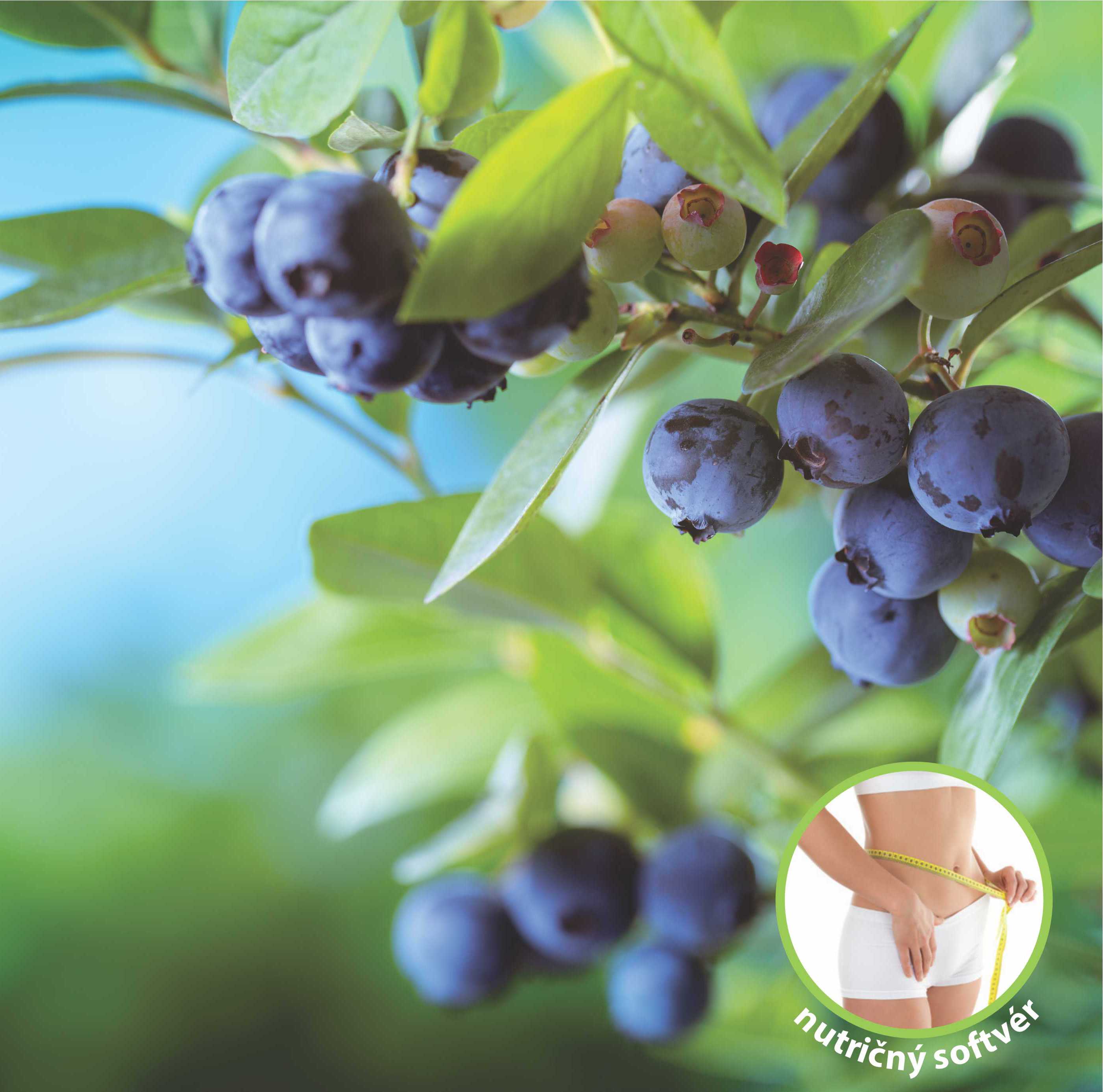 Zdravý životný štýl