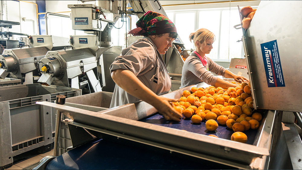 Týdeník fórum - Ovocňák: nejen kvalitní mošty