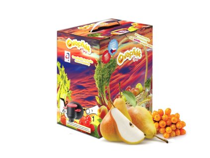 Hruškové pyré s rakytníkem 5kg