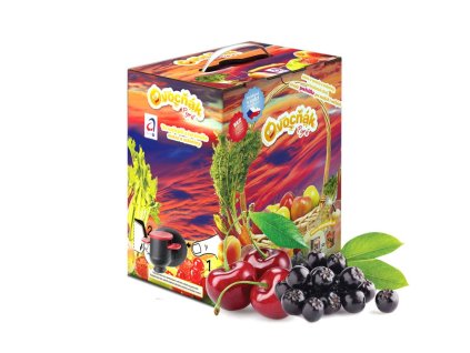 Višňové pyré s arónií 5kg