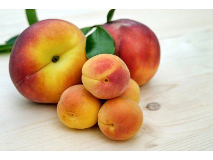 apricots 2527193 1920