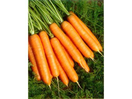 carrots