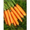 carrots