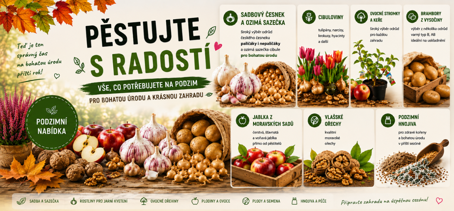 podzimní hnojivo, cibuloviny, sadbový česnek, brambory na uskladnění, ovocné stromky, sadová jablka