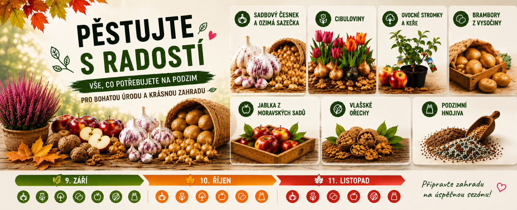 podzimní hnojivo, cibuloviny, sadbový česnek, brambory na uskladnění, ovocné stromky, sadová jablka