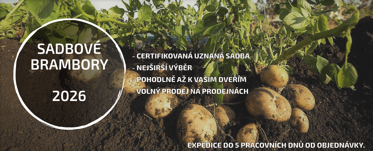 Sadbové brambory 2026