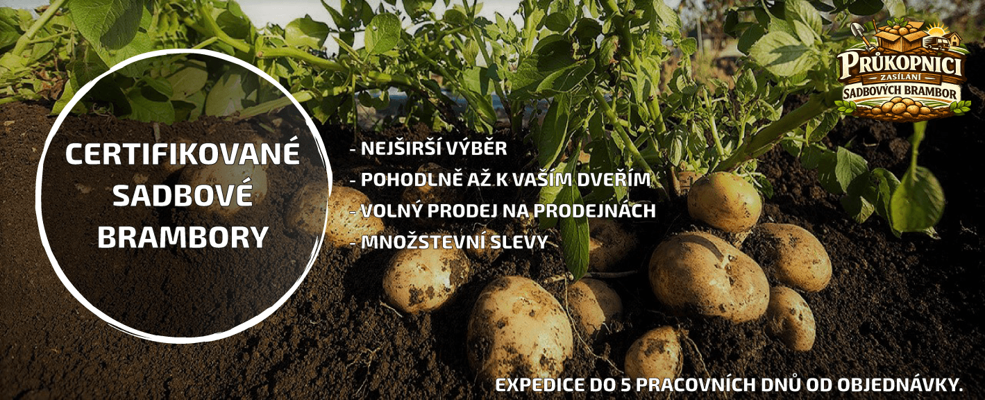 Sadbové brambory 2026