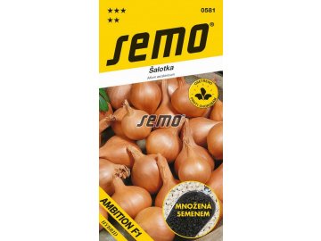 0581 semo zelenina cibule salotka ambition