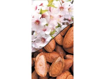 Mandloň Supernova (TUONO)